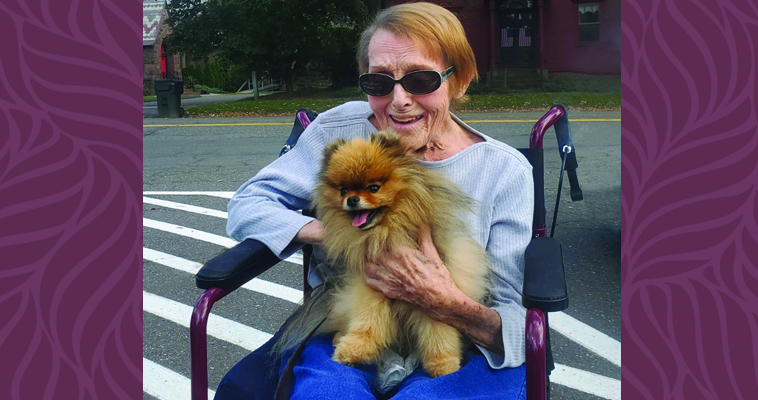 person in wheelchair with dog